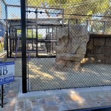 New lion enclosure construction moorpark ca (18)